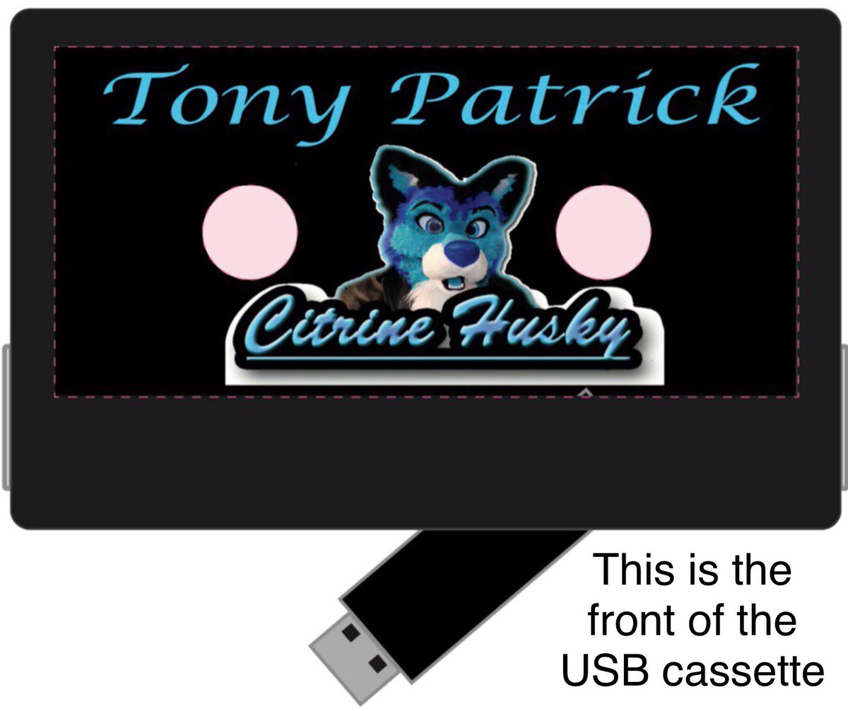 CitrineHusky's tweet photo. Hello everyone here is your first look at the Forever Pass!  Premiering @GatewayFurMeet for $200.   A one time price equals music for life! https://t.co/ydxmaUjcBf