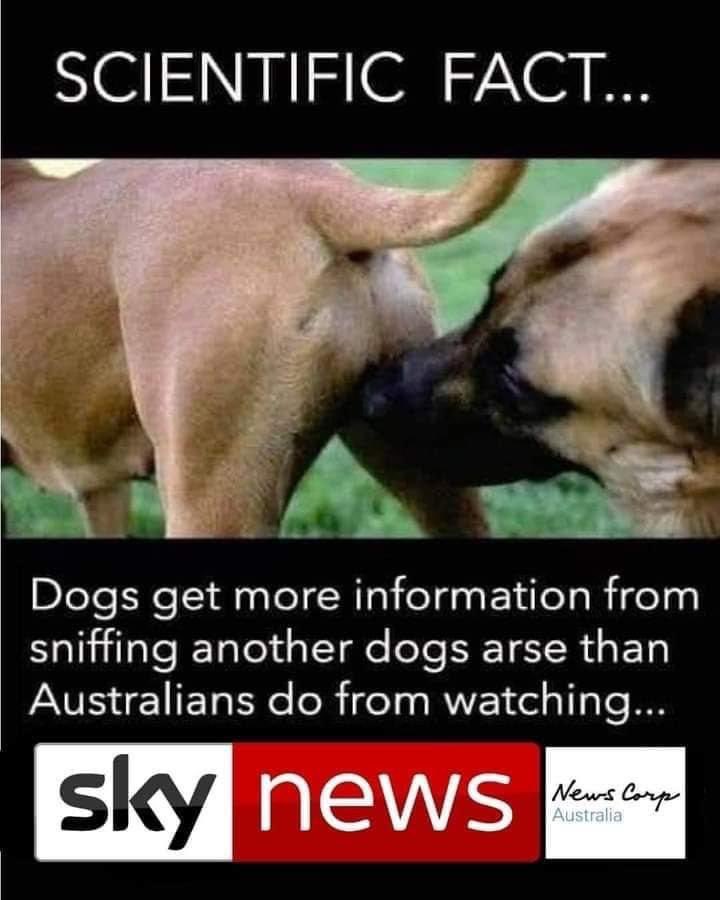 Hammyhamster10's tweet photo. @SkyNewsAust https://t.co/M5cZIUpB4O