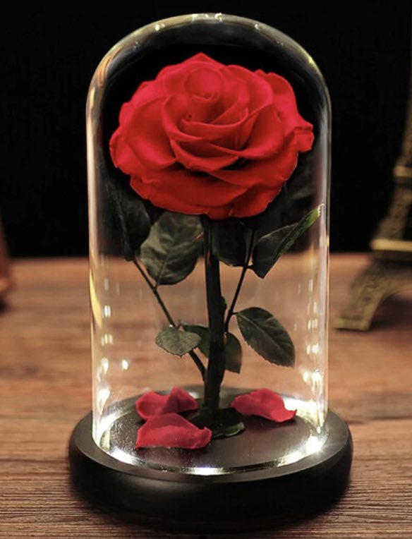 ๐๐๐๐๐พ๐๐๐ ๐๐๐๐ฟ๐ผ. (@hyliareb0rn) on Twitter photo Donโt mind her leaving a preserved rose on <a href="/devoutadvisor/">๐๐ฎ๐ฑ๐ข .แ โข ๐๐๐บ๐๐๐</a>โs desk~! Donโt mind her leaving a preserved rose on <a href="/devoutadvisor/">๐๐ฎ๐ฑ๐ข .แ โข ๐๐๐บ๐๐๐</a>โs desk~!