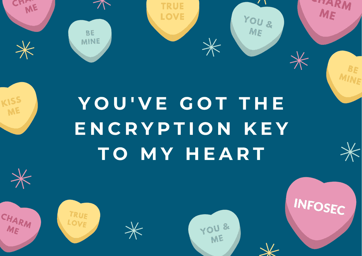 InfosecEdu's tweet photo. Wishing all of our #cybersecuritypros a Happy Valentine's Day! π https://t.co/Y5hnQlqT6l