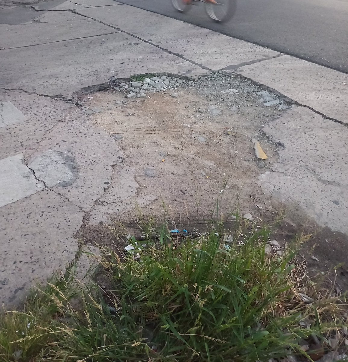 Flor Marchetti tweet media