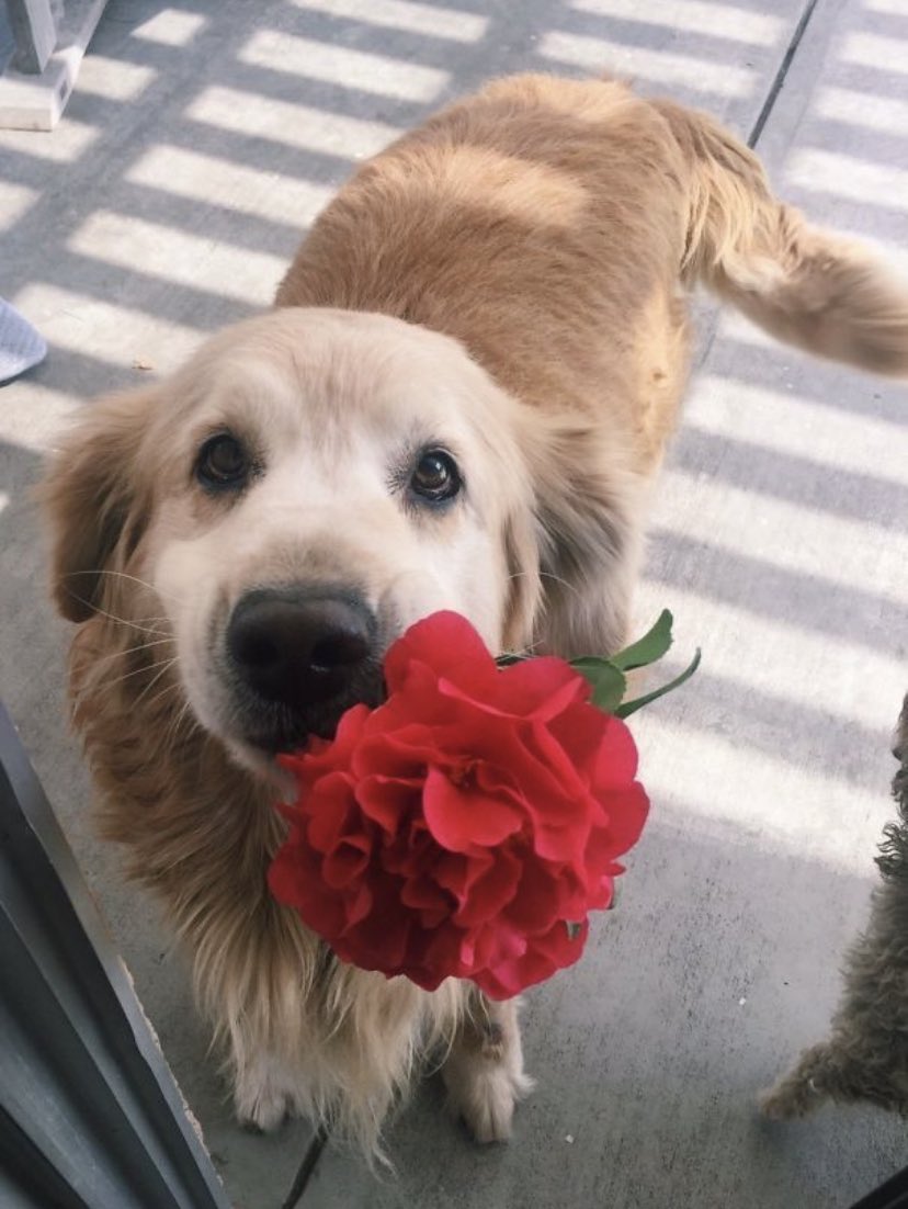 feliz día, los queremos mucho ❤️