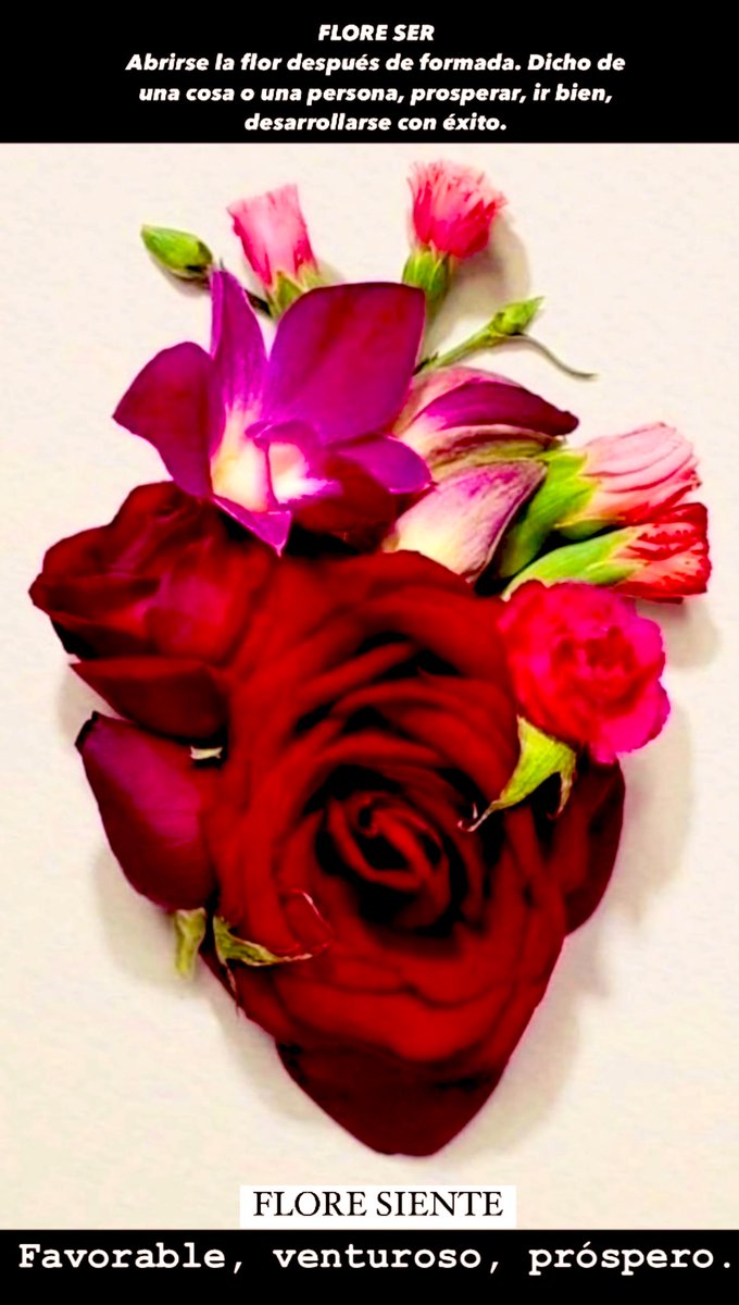 marianagarza70's tweet photo. FLORE SER
Que se desarrolla o prospera,
abrirse la flor después de formada. Dicho de una cosa o una persona, prosperar, ir bien,
desarrollarse con éxito.
FLORE SIENTE
Favorable, venturoso, próspero.
SEA! https://t.co/NrY0xa5WHC