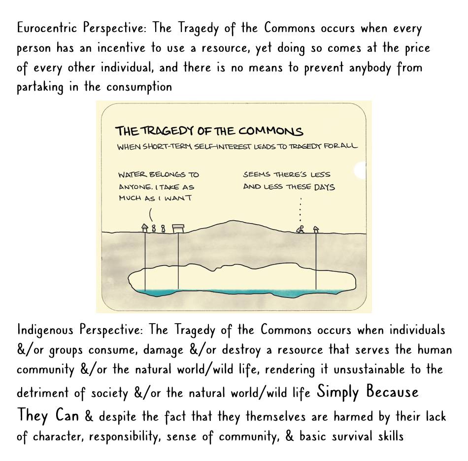 Euro-centric society is so toxic &amp; that the tragedy of the commons is not only an "unsolvable" problem for them (that they literally create themselves), they're destroying the Earth's ability to sustain millions of species with it (including the species they themselves belong to)