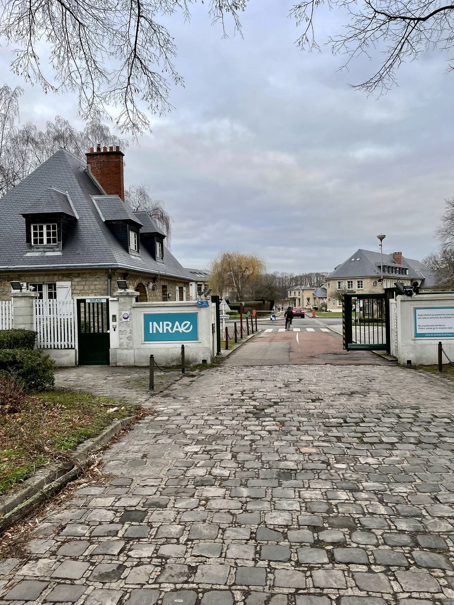 It is time to embark on to the next step of my professional career. I’m happy to share that I have started a new position as a Postdoctoral Researcher <a href="/ijpb_fr/">IJPB</a> <a href="/INRAE_France/">INRAE</a>. Looking forward for some exciting research 🌱🧬🔬