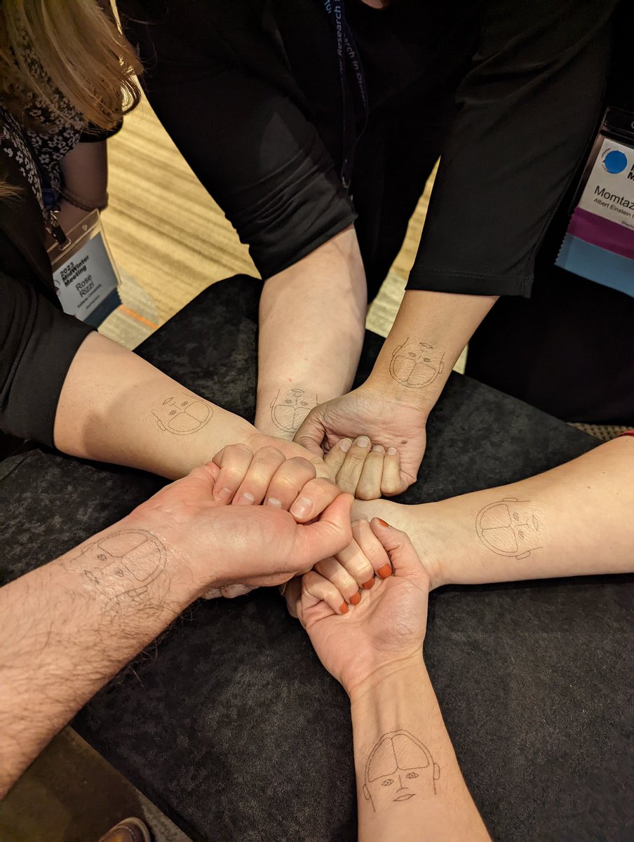 Bidelman Auditory Cognitive Neuroscience Lab tweet media