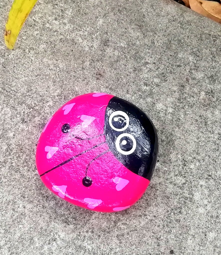 Vics_Echidna's tweet image. Beautiful #Galah pair flew into town 😍 and a young #butcherbird w. parents close by hung around all day by the path! Spotted a #geocaching 🐞 and some great looking flowers too 💮 @springfieldQLD is looking good! #community #NatureMatters 🌏 #BirdsOfAustralia 🐦 #BirdsOfTwitter