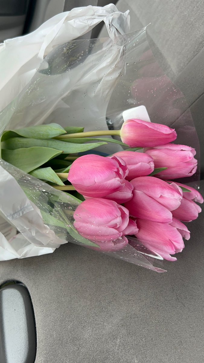 juncherie's tweet photo. happy love day to my lovey doveys 🫶 https://t.co/t6kMMhmk4Q