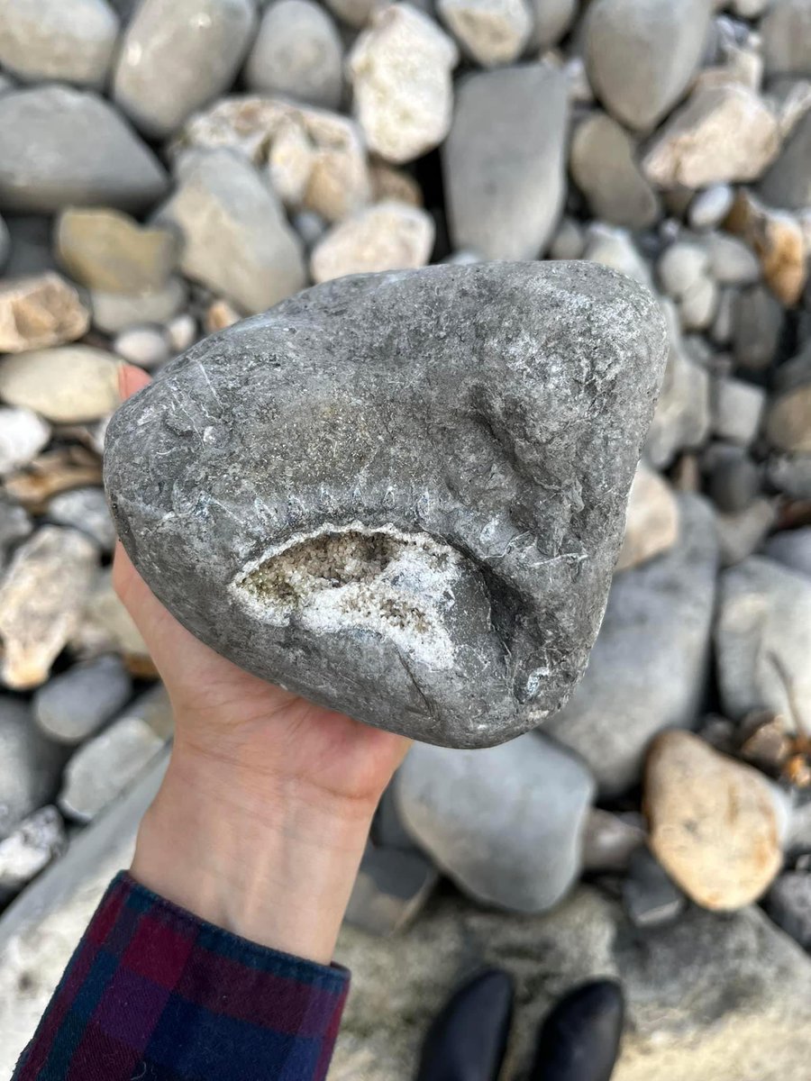 SteflovesPlants's tweet image. Went #fossilhunting with @GloverEcology at #AmmonitePavement, #JurassicCoast as #Valentine’s Date (probably our first ever Valentine’s date ever lol). Unfortunately we didn’t find an #ammonite small enough to take home. May be we’ll go there again after a storm!