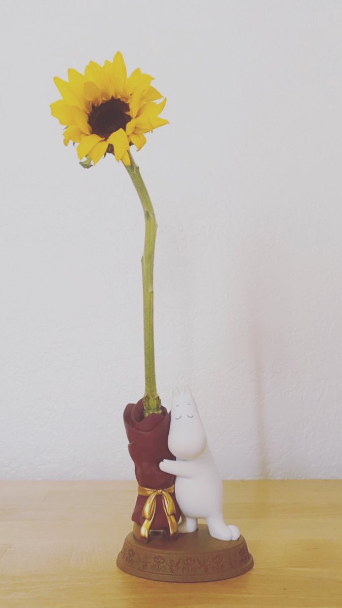 Today’s flower: Sunflower 🌻 오늘의꽃: 해바라기 今日の花：向日葵