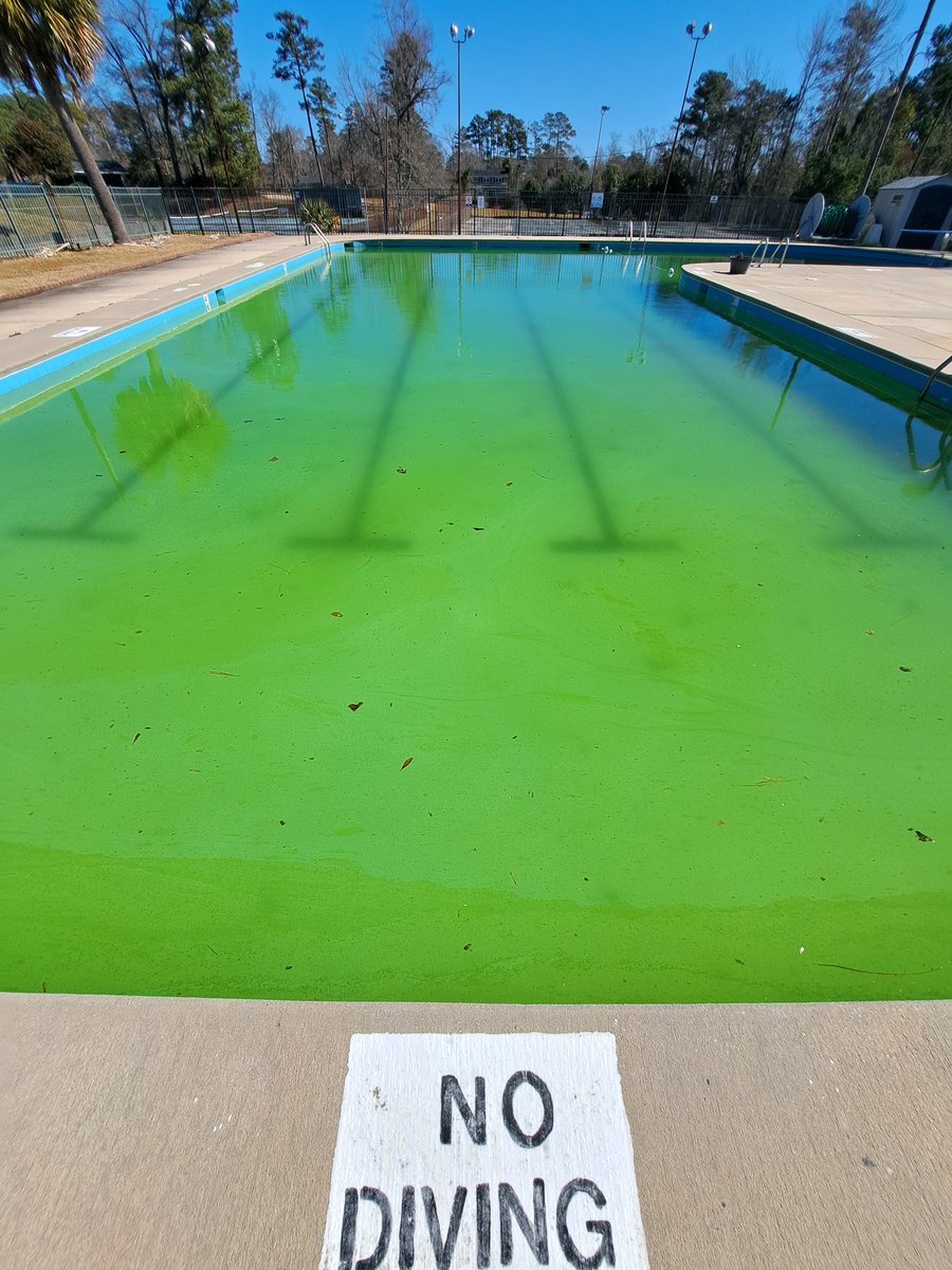 KingKailez's tweet image. I don't think they have to worry about someone diving in this pool 🙄🏊‍♂️🟩 #PoolSpa #POOL #Spa #Work
