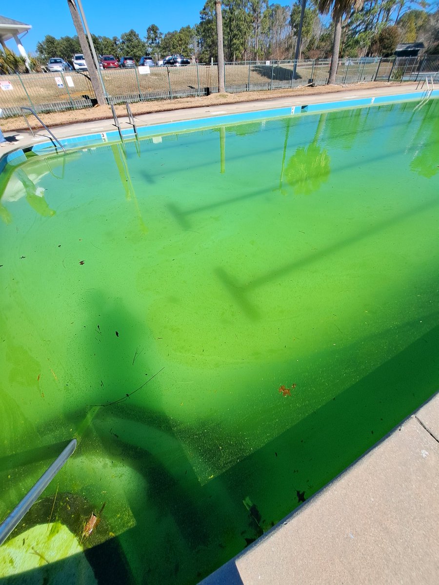 KingKailez's tweet image. I don't think they have to worry about someone diving in this pool 🙄🏊‍♂️🟩 #PoolSpa #POOL #Spa #Work