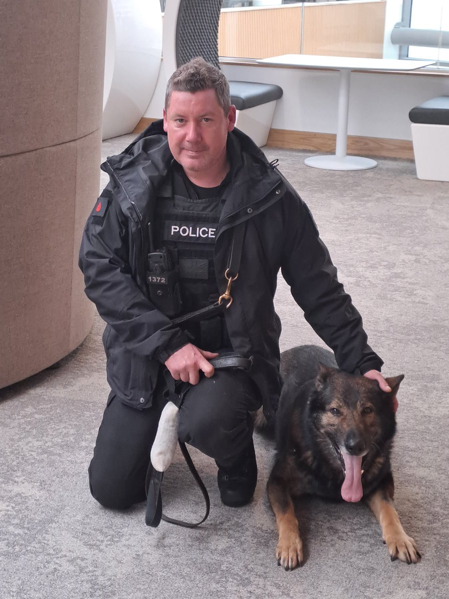 pam_kelly_'s tweet photo. Our police dogs are truly exceptional...lovely to see PD Bullet today and wish him well for his retirement ..he has delivered a great service.. thanks to his handler PC Weston ..Great work team ..diolch👍 https://t.co/7LA728h0Kp