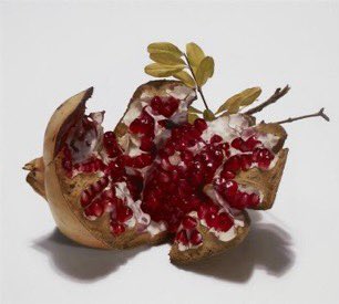 jmenopetra's tweet photo. granáty
.
luciano ventrone
.
#hyperrealismus https://t.co/t1vP064wol