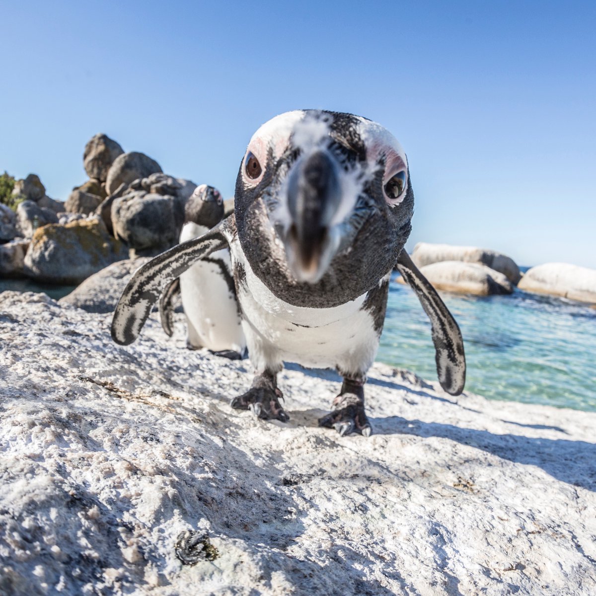 Discovery's tweet photo. Caption this 👀

Image by Mike Korostelev https://t.co/DsyI4uglT6