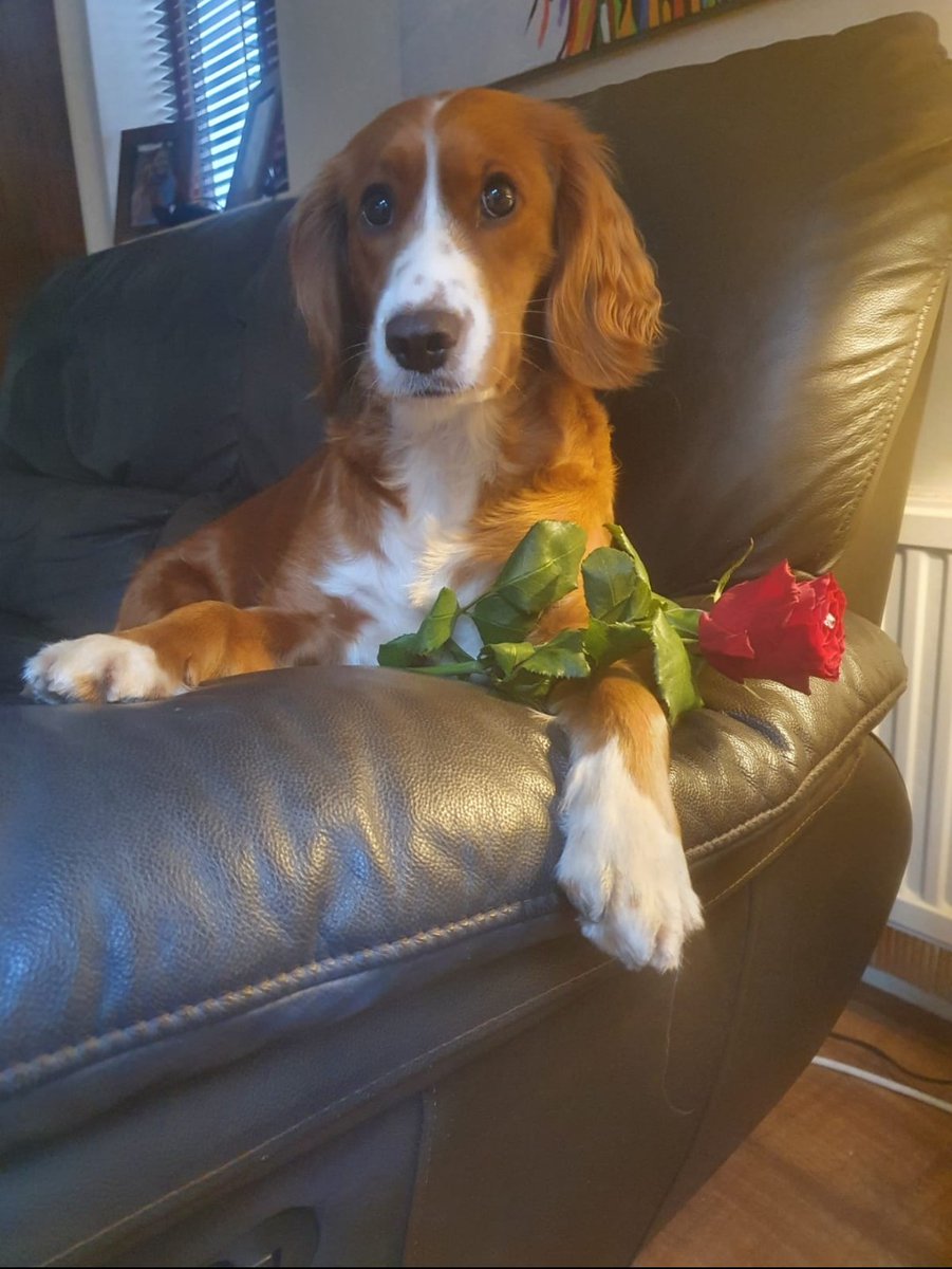 Happy Valentines day to all my fwends on twitter 💕 <a href="/bloom_gal/">Milly - Golden Bloom Gal</a> <a href="/LisaSchofield76/">Lisa Schofield</a> #ValentinesDay