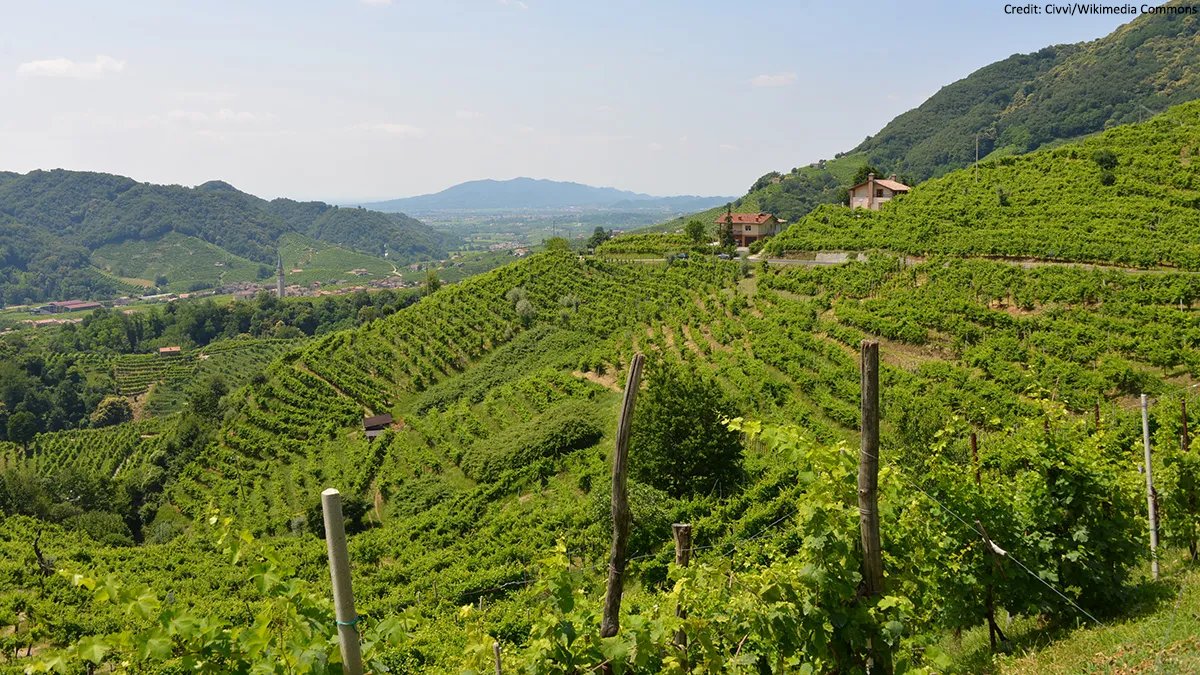 raspishake's tweet photo. Most of the #Alps are considered #tectonically dead, but according to new #research, the SE region - home to #prosecco wine - is very much alive.
Discover more on @AGU_Eos ➡️ https://t.co/GBTjCCDfBD https://t.co/dJV6TMIasP