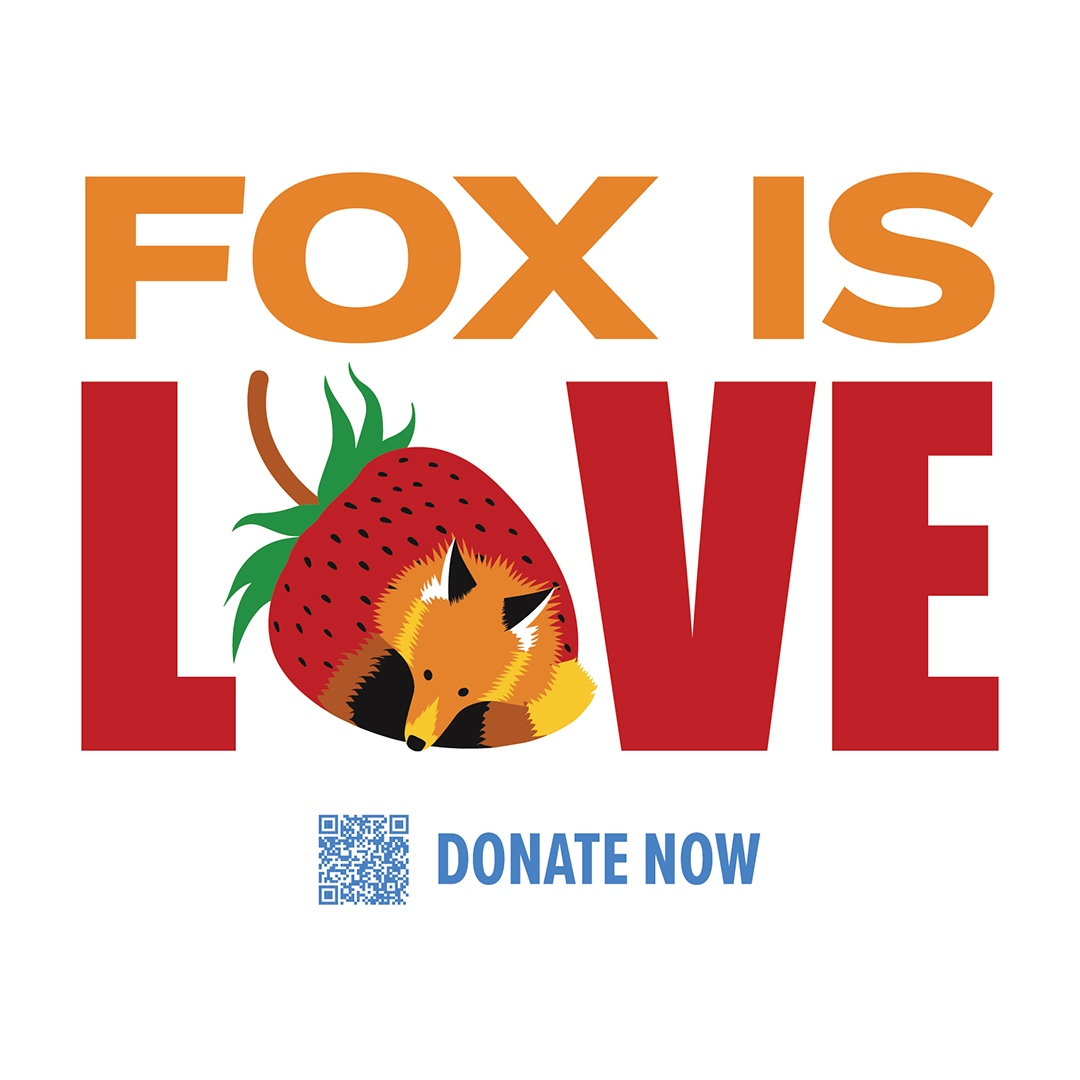 weareyebo's tweet photo. Our heart belongs to Fox because #FoxisLove ❤️

We just finished another batch of merch for the school! Buy your own beanie and glass on 2/24 at Hardywood during the Fox PTA Parents Night Out. Show your love today and next Friday! https://t.co/dQs7MDEl6N