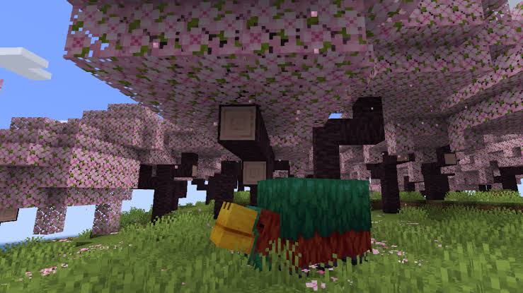 Bioma Minecraft Cherry Blossom (bioma De Flores De Cerejeira