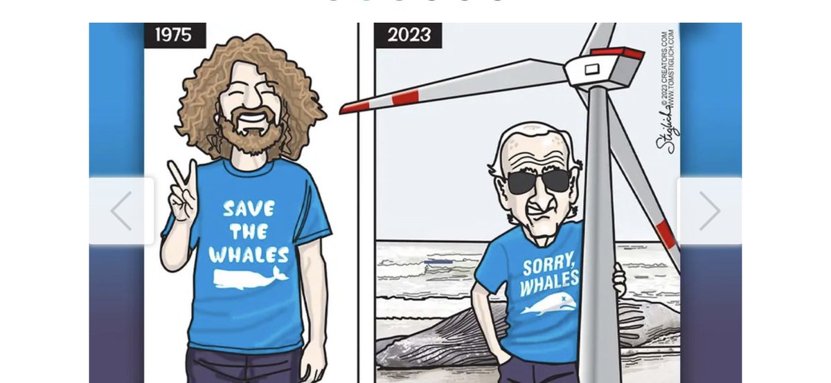 Steve Gray tweet media