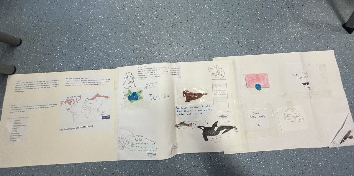 USWStephens's tweet photo. Year 6 created poster presentations on Biomes!🤩. Initially they were creating their presentations on chromebooks, but the wifi cut out! But, I am so glad, because the learners were super creative and very detailed and the final outcome was outstanding ! Da iawn😄 @shirenewton_6 https://t.co/rcxOfUEibI