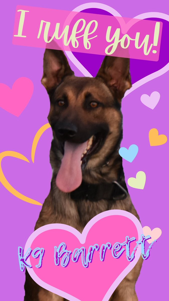 🥰Our K9's want you to be their Valentine! Wishing everyone a Happy Valentine's Day! 😘❤️ #APDcares #CommunityPolicing #policek9 #valentinesday2023 #K9