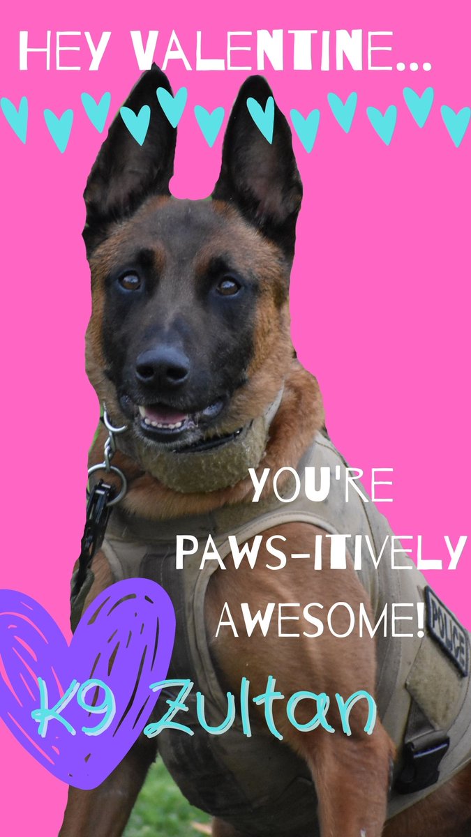 🥰Our K9's want you to be their Valentine! Wishing everyone a Happy Valentine's Day! 😘❤️ #APDcares #CommunityPolicing #policek9 #valentinesday2023 #K9