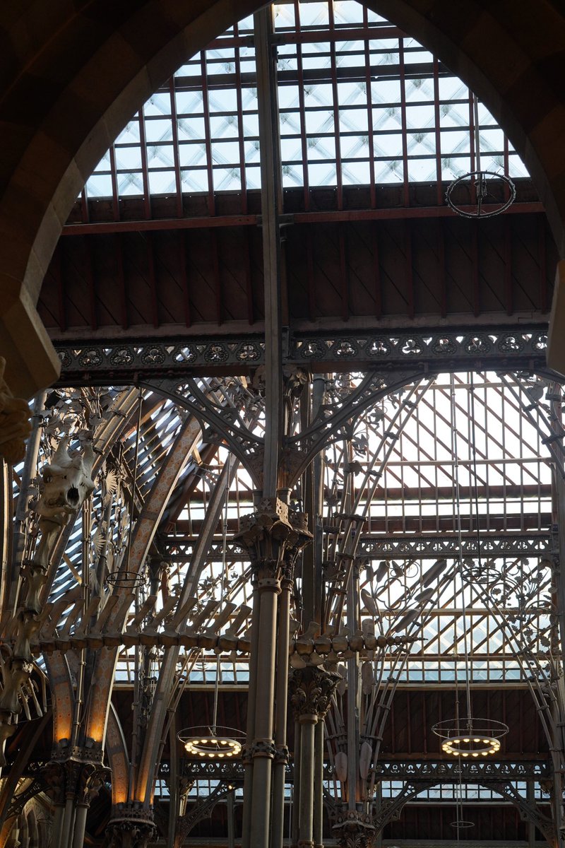 Hayley Leyshon tweet media