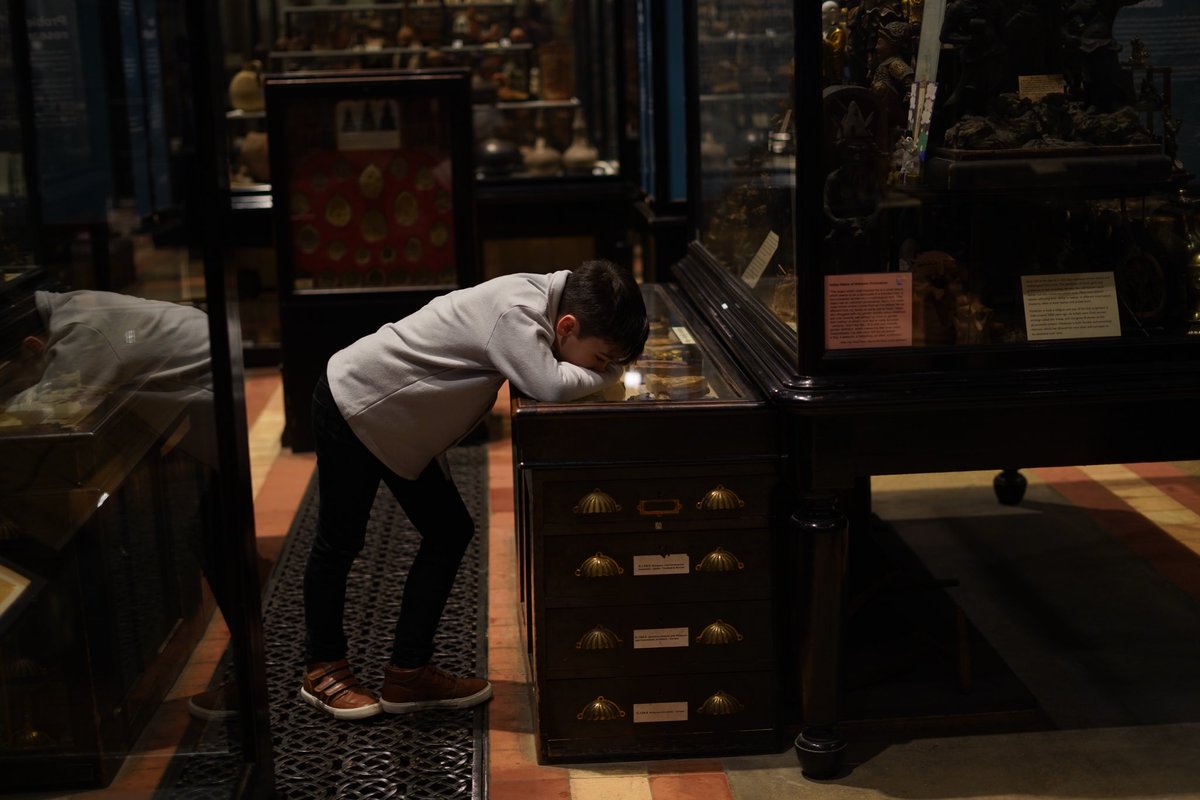 Hayley Leyshon tweet media