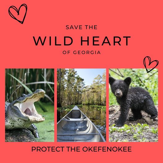 Environment Georgia tweet media