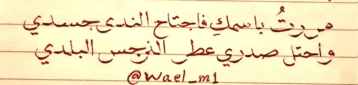 <a href="/wael_m1/">وائل ميَّا</a>