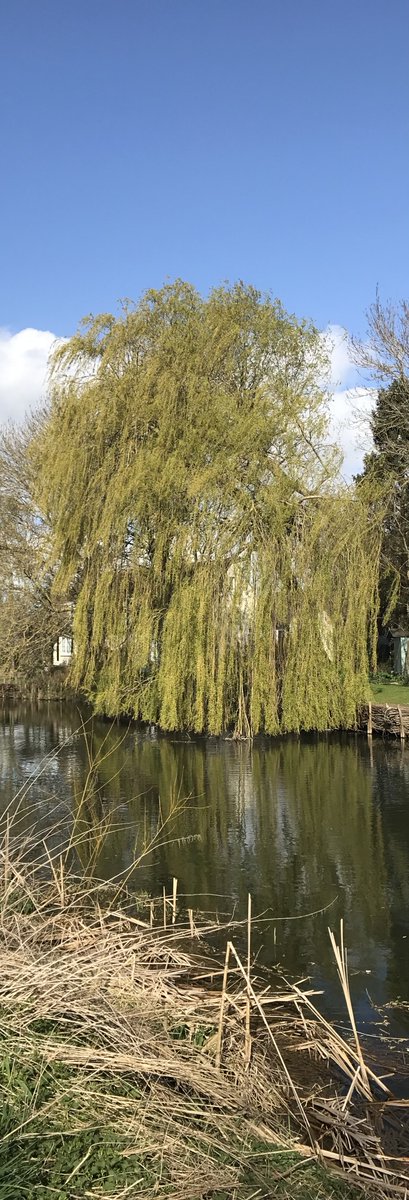 Today’s @DailyPicTheme2 is ‘X/Z/Anything'' #DailyPictureTheme Waterside walks #rtItBot @PanoPhotos