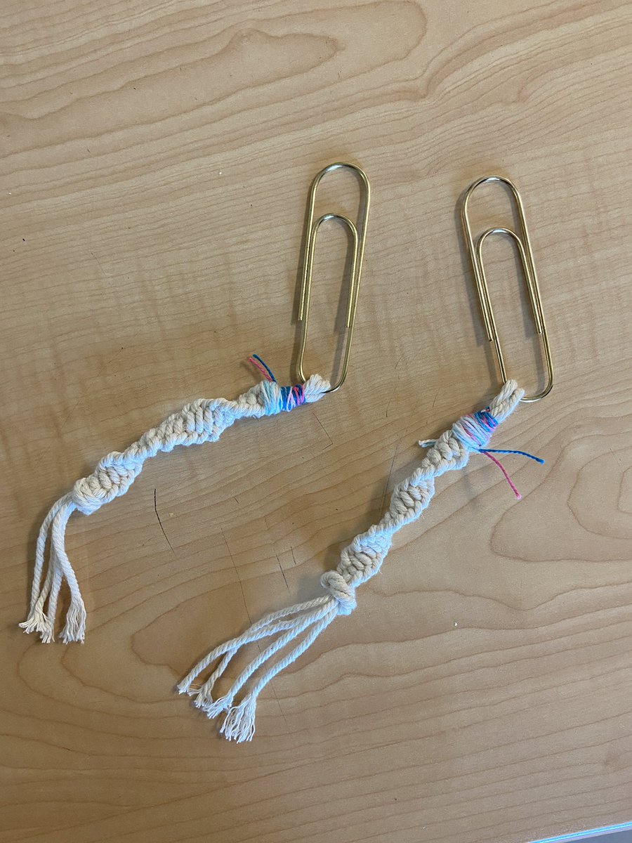 Kaity Schaab tweet media