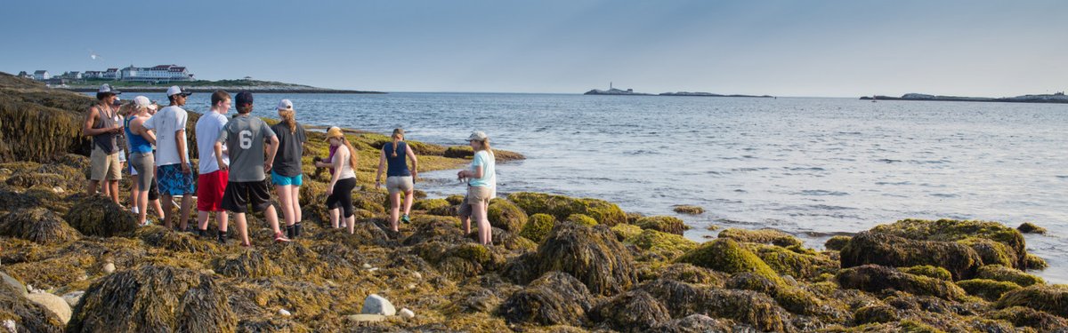 Are you an undergrad interested in learning #rstats and data science, but also want to spend time in the field?

We are teaching a two week course @ShoalsMarineLabs in early June. Students will spend mornings in the field and afternoons learning R

shoalsmarinelaboratory.org/r-sea-data-ana…