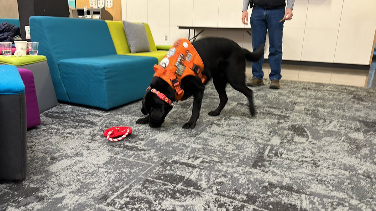 <a href="/eatfreeOSU/">BNC - Oregon State</a> Snacks! Cascade Hall fist floor 2-4 pm today. And meet Cedar!