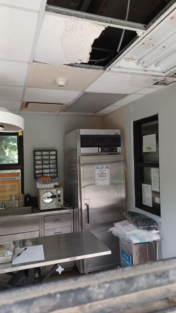 ValeriaCollazoC's tweet photo. Esta es la clínica veterinaria del zoológico de Mayagüez, donde supuestamente atienden a los 350 animales que siguen allí. No hay energía eléctrica desde el huracán Fiona, hace casi 5 meses. Esta noche en @RayosxTelemundo, presentaremos lo que descubrimos tras demandar al DRNA. https://t.co/cOYeBIDrCF