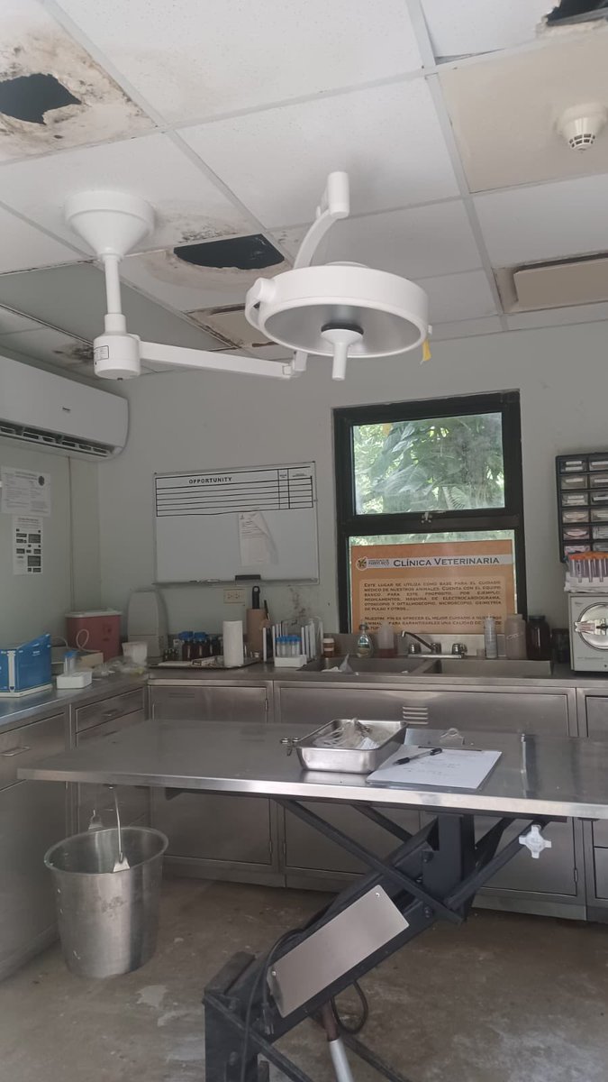 ValeriaCollazoC's tweet photo. Esta es la clínica veterinaria del zoológico de Mayagüez, donde supuestamente atienden a los 350 animales que siguen allí. No hay energía eléctrica desde el huracán Fiona, hace casi 5 meses. Esta noche en @RayosxTelemundo, presentaremos lo que descubrimos tras demandar al DRNA. https://t.co/cOYeBIDrCF