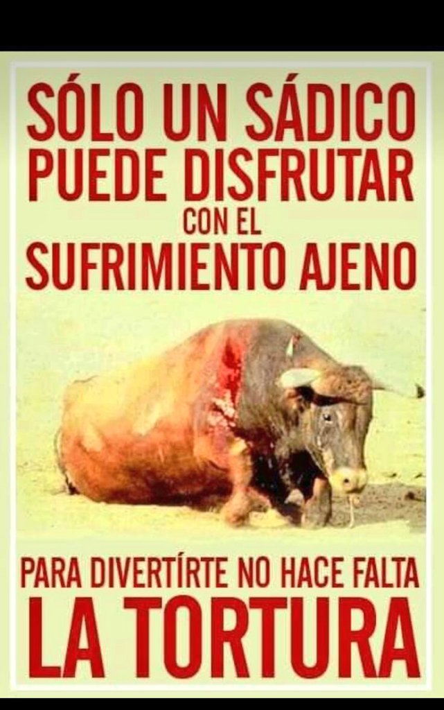 Mary_Jar's tweet photo. Y pueden venir de a mil taurinos. No me importa.
Esto no es cultura, es crueldad animal .... Si a usted le gusta esto, vaya a terapia.
#NoALasCorridasDeToros
#FeiasDelSolSinTorturaAnimal #Ferisol #Mérida https://t.co/uLQhnHIS0c