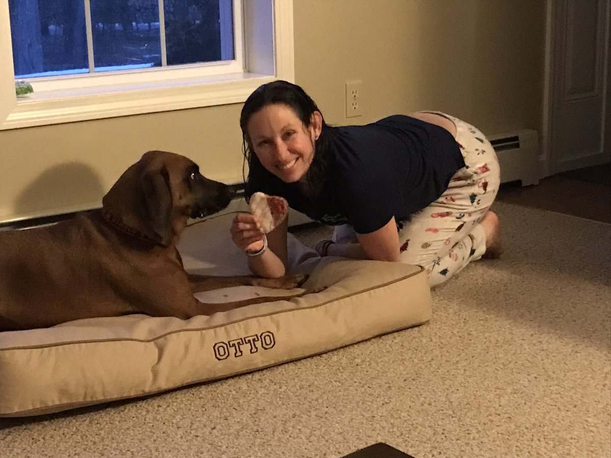 OttoRedboneRuns's tweet photo. Those doggo 👀’s, tho…
Gimmie da cookie!
Happy #ValentinesDay, friends.
♥️ 🐾 https://t.co/DqvHiUfF5l