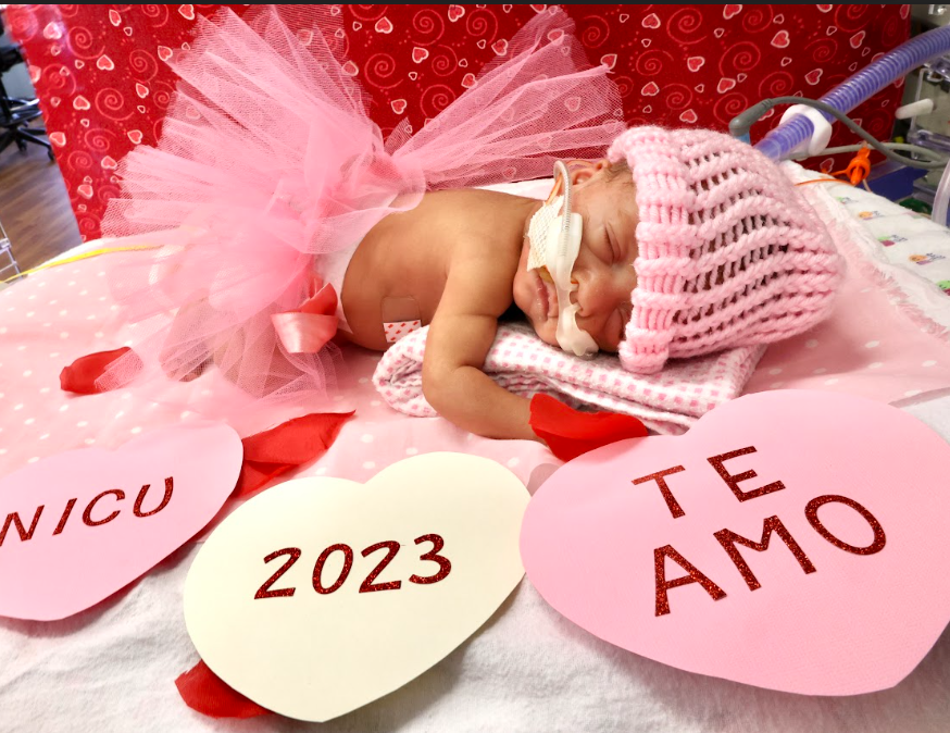 AscensionSeton's tweet photo. The Neonatal Intensive Care Unit (NICU) at Ascension Seton Medical Center Austin celebrated Valentine's Day in style this year. See photos on CBS Austin https://t.co/qvqbV4dyFm https://t.co/iuFm8v0E6j
