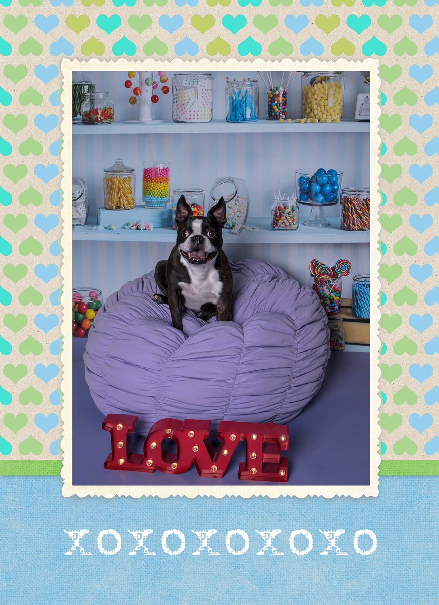 Happy Valentine’s Day 🐾❤️🥰