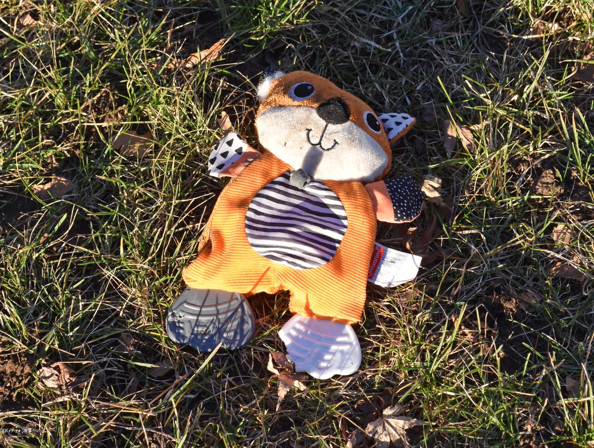 Mike B 🇺🇦 tweet media