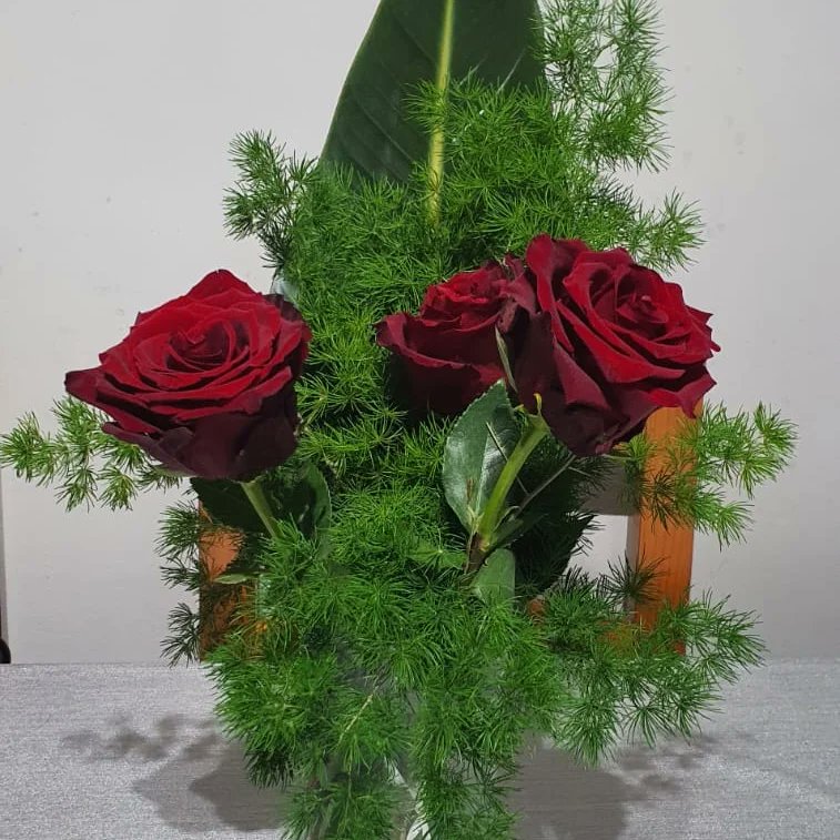 Feliz San Valentín 💕