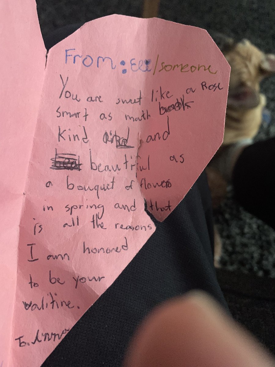 Steve Stein tweet media