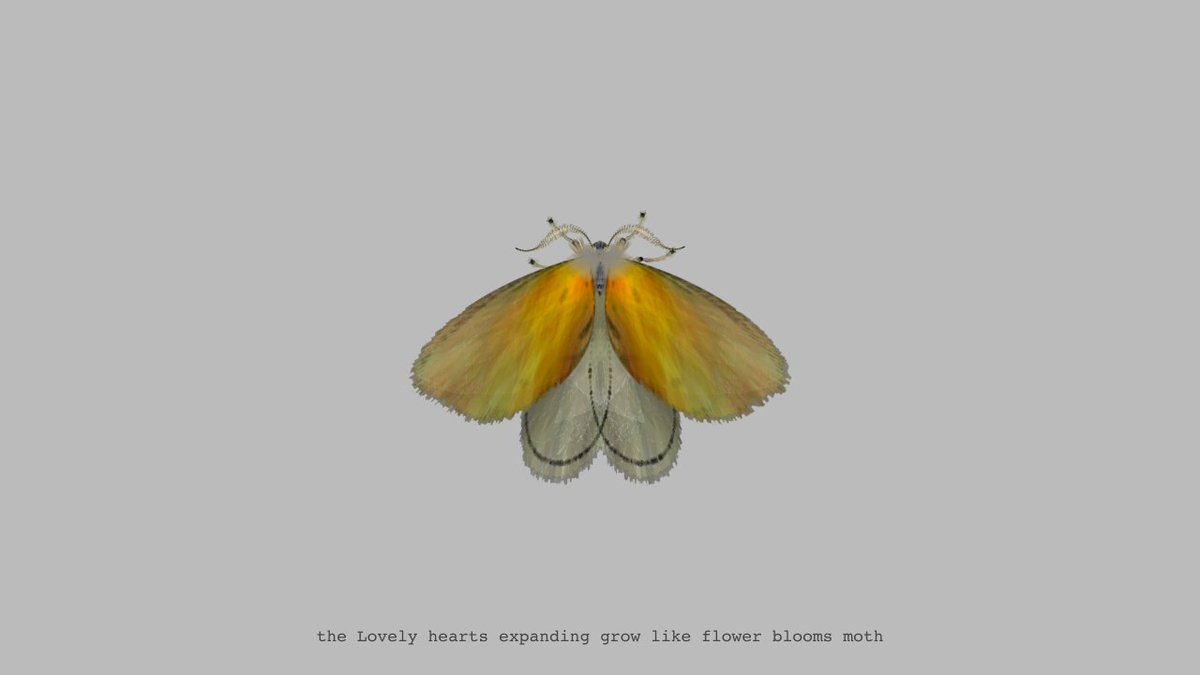 moth generator tweet media