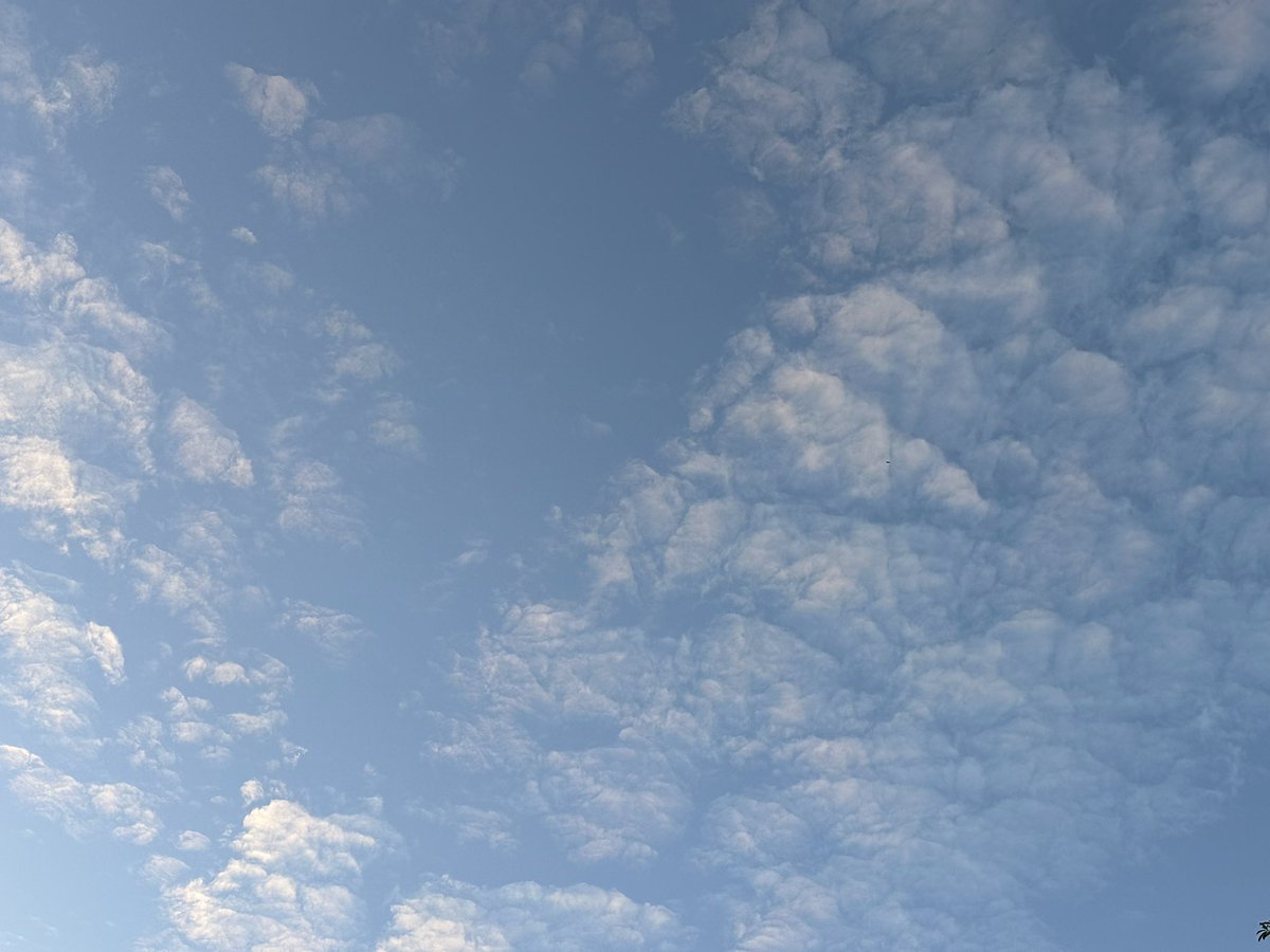 ☁️🔮: If the problem is big, how do we make it small? If it’s small, how do we make it nothing? Solve the problem if you can, let go when you can’t. I think there’s invincibility when you realise that no problem is too big for you to figure out 🤍 One step at a time as always.