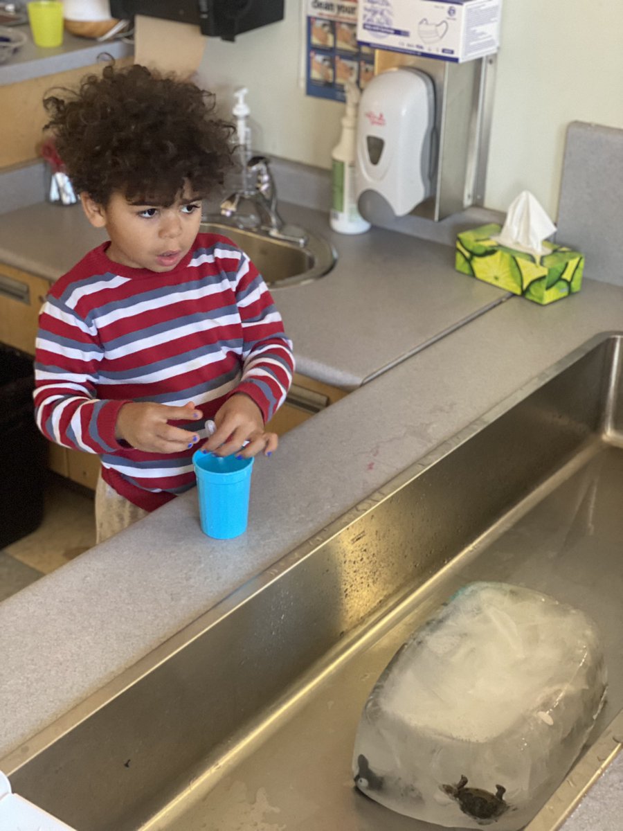 Mr. DeWolfe tweet media