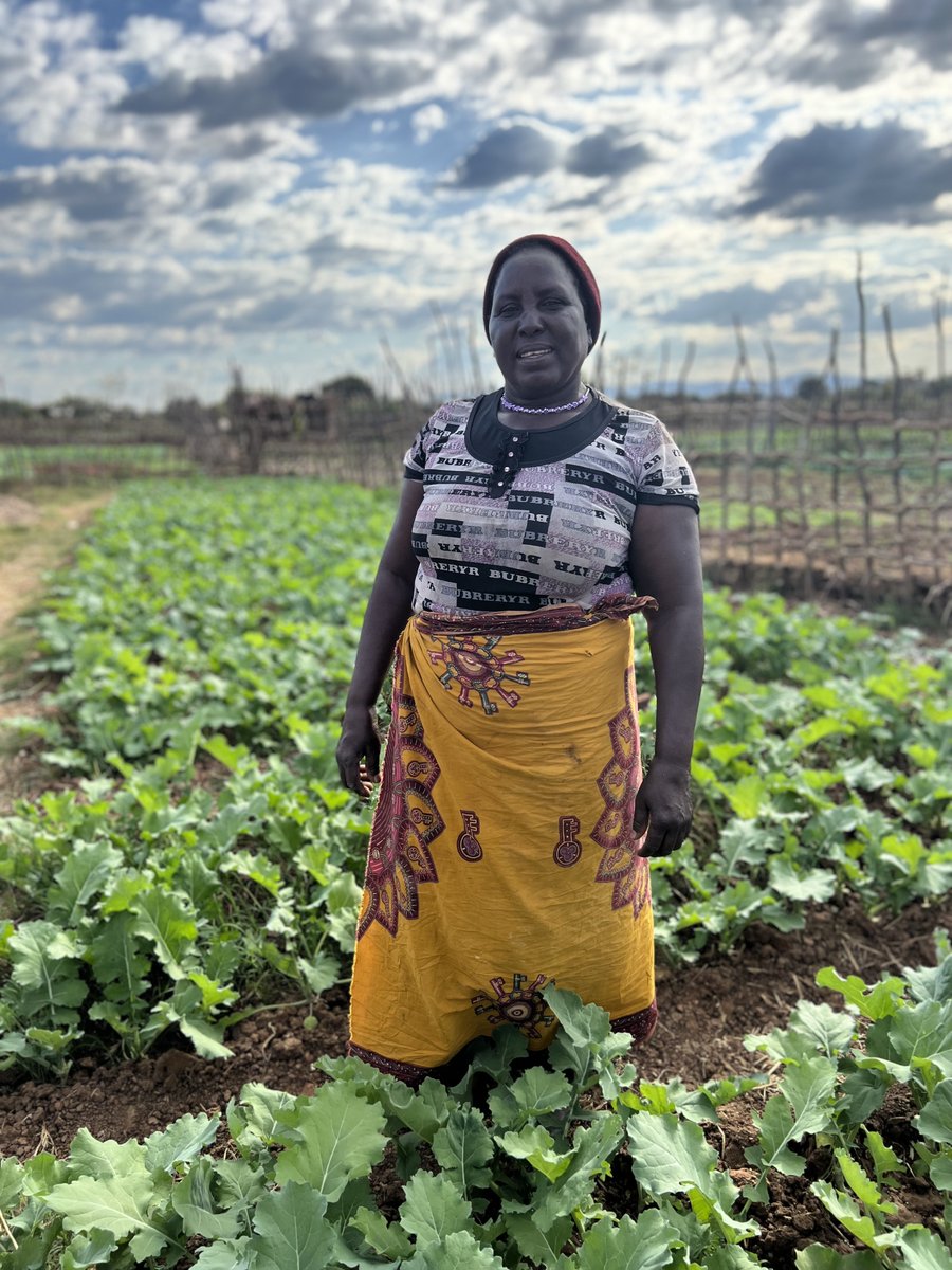 Pulitzer Center tweet media