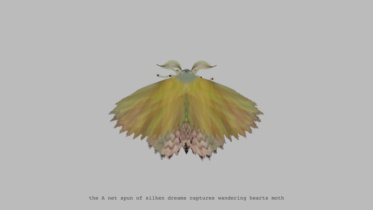 moth generator tweet media