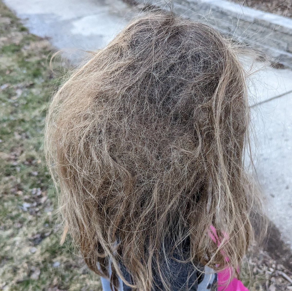 My 8-year-old claims she brushed her hair this morning. She was wearing a hood, and I didn't check.

She went to school like this.

I'm going to get a call from CPS.